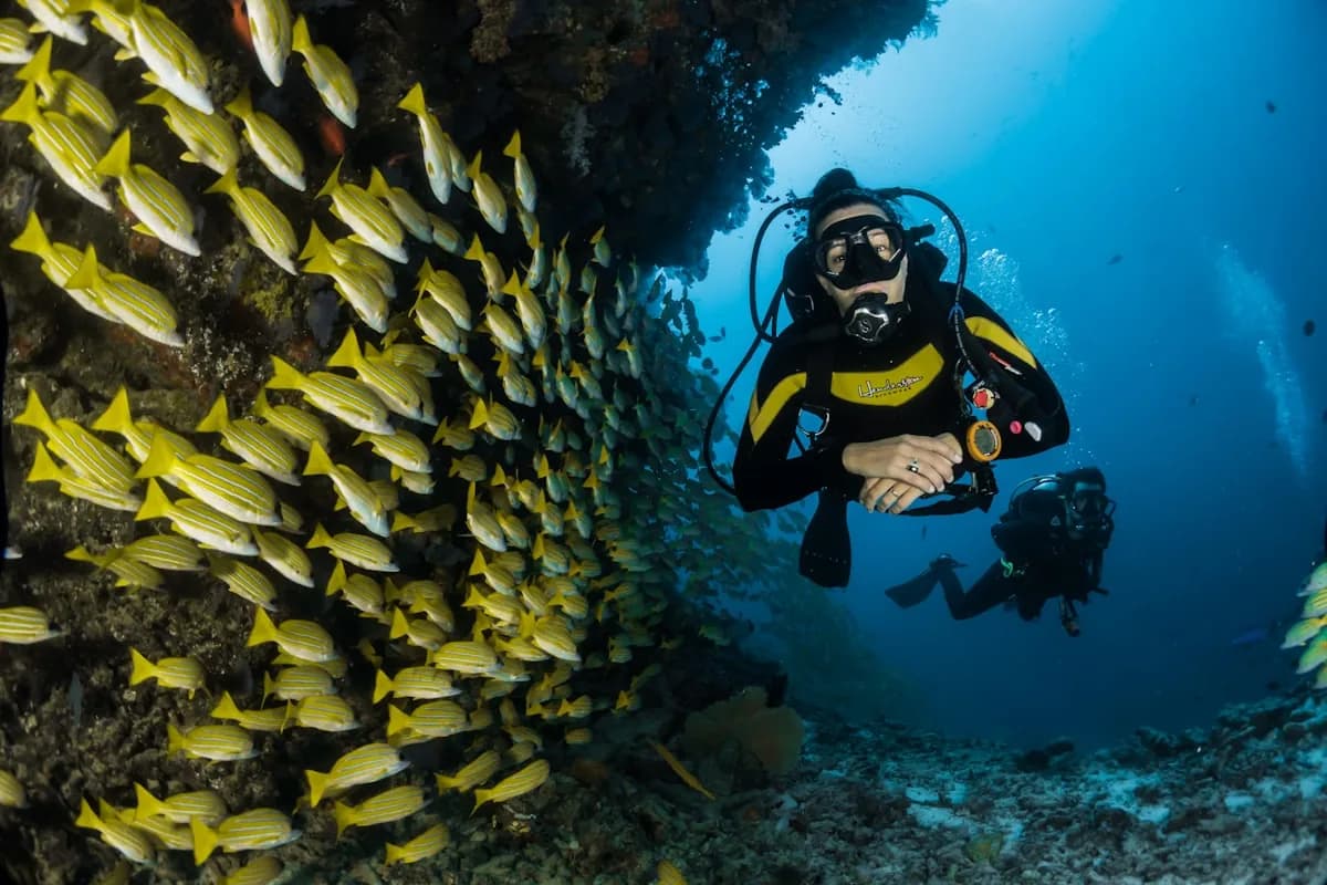 Snorkeling and water activities in Aruba